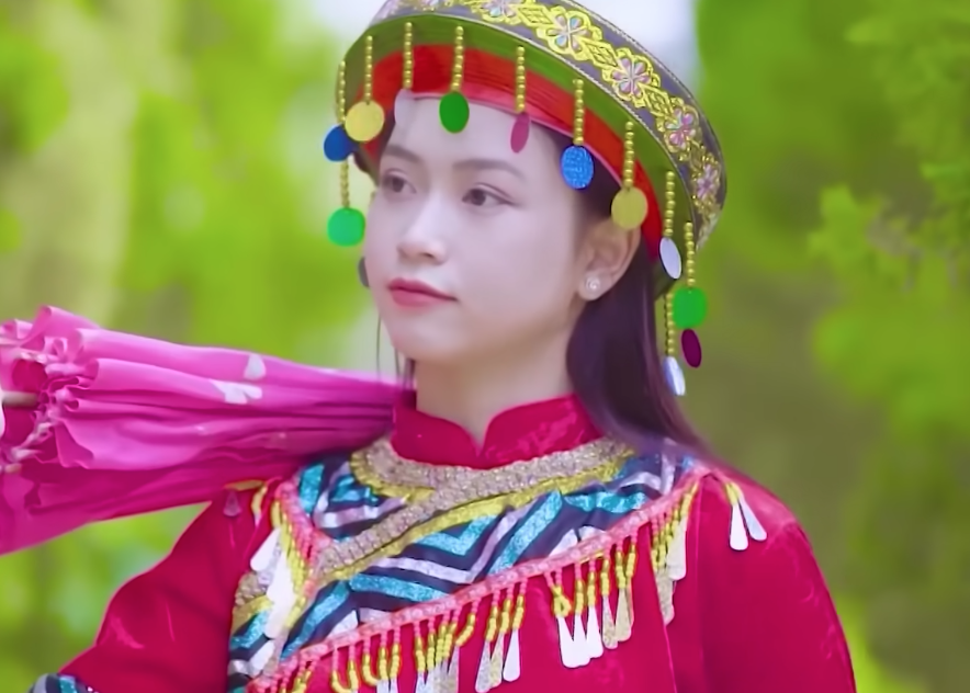 lĩnh vực hoạt động